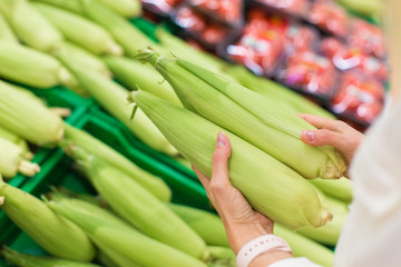 Obraz premium Female hands holds raw, sweet corn in a supermarket or grocery store close-up