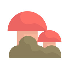 Isolated flat mushrooms on white.