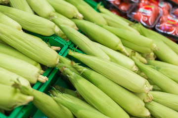 Obraz premium Sweet raw corn in a supermarket or grocery store close-up