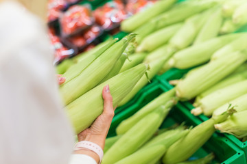 Female hands holds raw, sweet corn in a supermarket or grocery store close-up