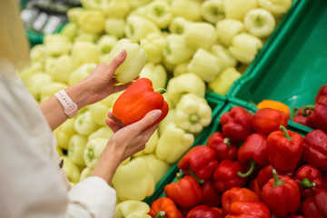 Woman chooses bell pepper in grocery store. Red paprika on background of yellow bell pepper.