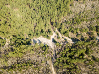 A dirt path in the coniferous forest in spring. Aerial drone view.