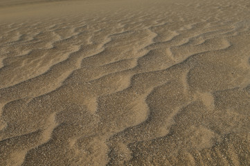Sandy landscape in the beach of Cofete. Jandia Natural Park. Fuerteventura. Canary Islands. Spain.