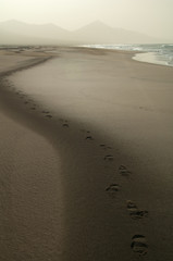 Footsteps on the sand in the Cofete beach. Jandia Natural Park. Fuerteventura. Canary Islands. Spain.