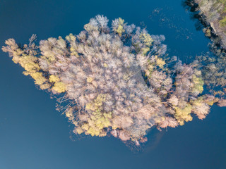 Fototapeta na wymiar A small island near the shore. Dense deciduous trees are tilted into the water. Spring clear evening. Aerial drone view.