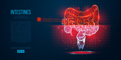 Abstract silhouette of the polygonal organ of intestines on blue background. Scanning, research and diagnosis of the human intestines. Holographic low poly, wireframe vector. Thanks for watching