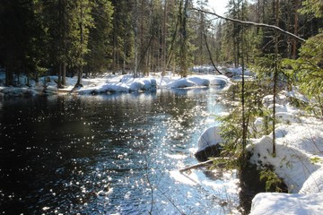 природа, архитектор природа