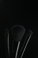 brushes for a make-up