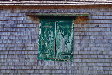 green old moody window