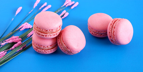 macaroons on a blue background. Sweets.