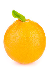 fresh ripe orange