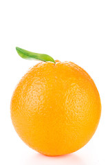 fresh ripe orange