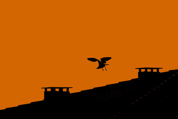 Fototapeta na wymiar Seagull taking flight from a rooftop chimney in the evening. Silhouette of a bird taking flight. Orange background with space for text.