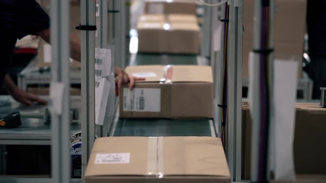 Parcels in a cardboard box moves along the packaging line in a warehouse. Parcels move alone on the conveyor. Automation of online shipping logistics