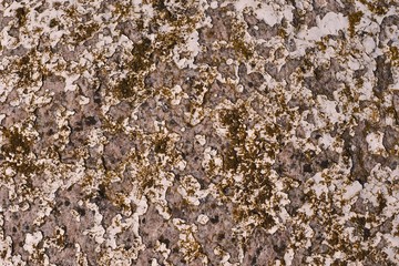 Granite paint peeled off, moss.
