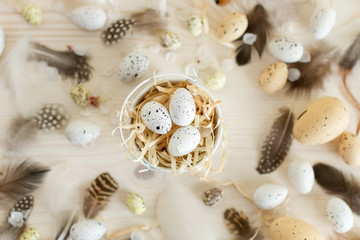 Easter eggs in the nest on beautiful  background