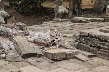 Fototapeta premium Angkor Wat Siem Reap Cambodia