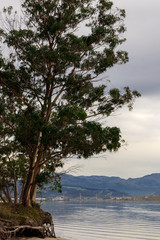 view of the cost in the north of spain