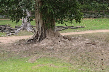 Angkor Wat Siem Reap Cambodia