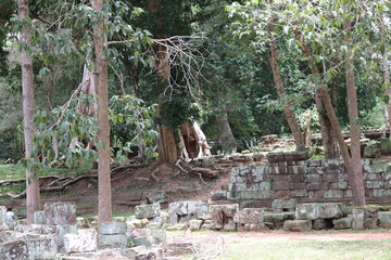 Angkor Wat Siem Reap Cambodia