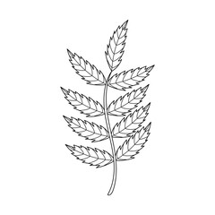 Coloring page with cartoon leaf.