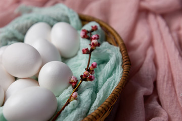 eggs in a wicker plate decorated with a flowering twig. eggs on a pink background