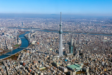 Obraz premium 東京都墨田区本所上空から東京スカイツリー空撮