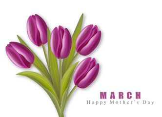 Happy Mother's Day violet tulips realistic.8 March,hello spring white background