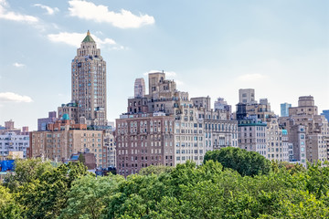 View of the Central Park treetops with Midtown Manhattan panorama in the background.