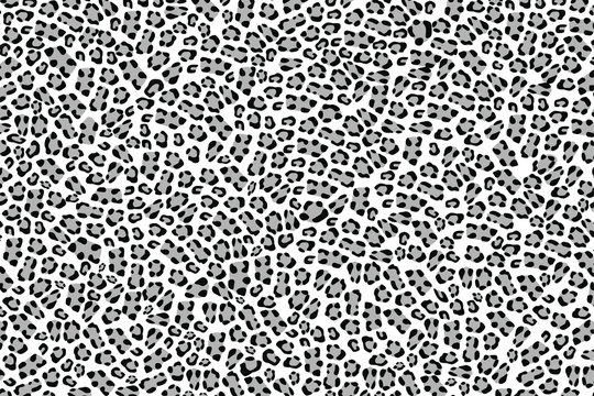 Leopard skin background.Vector illustration.