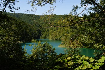 Fototapeta na wymiar the plitvice nature park withon the many lakes