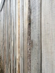 rustic fence from raw boards in linear perspective