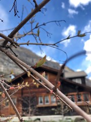 spring vibes