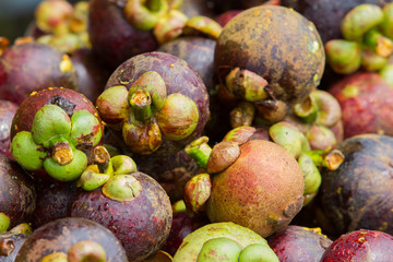 
The flesh of the mangosteen in white is sweet, juicy and delicious