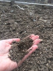 hand holds a handful of soil on the background of an empty garden flowerbed