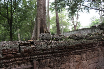Angkor Wat Siem Reap Cambodia