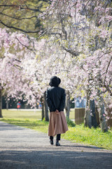 春の桜満開の公園で花見している女性