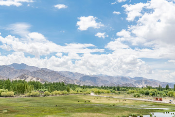 Leh,ladakh,Jammu And Kashmir India-17-04-2019:Photos taken in Leh,Ladakh region,India.