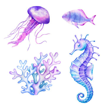 Watercolor illustration with seahorses fish jellyfish coral shells