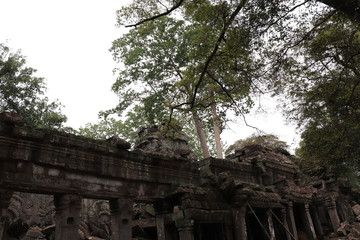 Angkor Wat Siem Reap Cambodia
