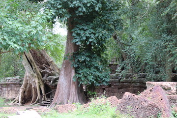 Angkor Wat Siem Reap Cambodia