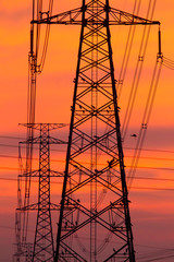 
Electricity poles and high voltage transmission