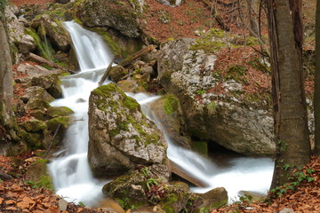 waterfall in the forest