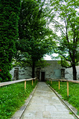 Alley in the garden with trees and a lot o vegetation, Suceava. Romania.