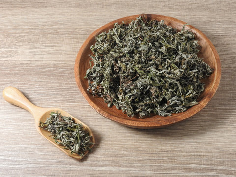 Mugwort Images Browse 5 580 Stock Photos Vectors And Video Adobe Mugwort Images Browse 5 580 Stock Photos Vectors And Video Adobe