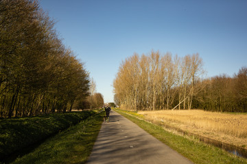 Green field graas and road, dutch landscape countryside in Spijkenisse in South Holland, the Netherlands