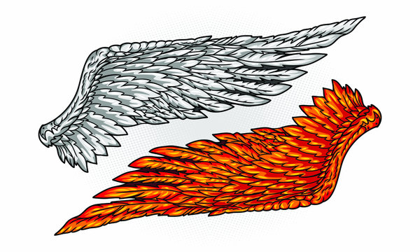 Bird wings isolated. hand drawing illustration