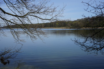 Ruhige Seenlandschaft mit &uuml;berh&auml;ngenden &Auml;sten