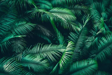 Foto op Canvas Prachtig tropisch bos met felle zon die door de bomen schijnt © chokniti