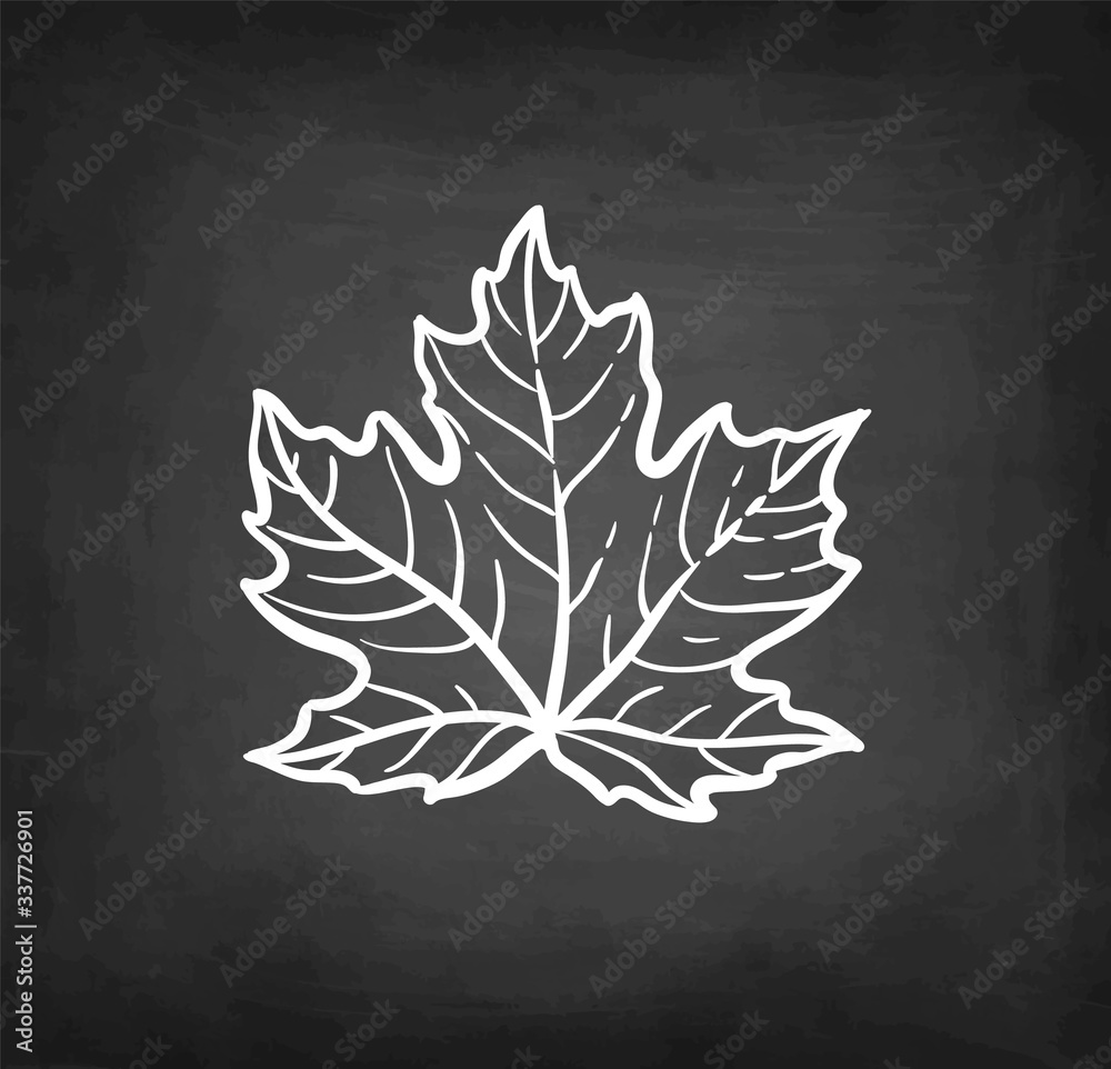 Poster chalk sketch of maple branch.